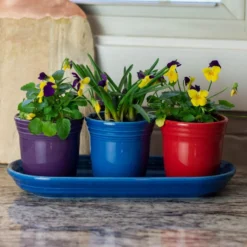 Fiesta® Windowsill Garden Set | Bold 8 Fiesta® Windowsill Garden Set | Bold -Kitchen Supplies boldlife