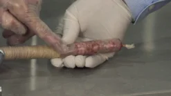 LEM Sausage Stuffer - 5 Lb. Hand Crank Sausage Stuffer -Kitchen Supplies maxresdefault 134